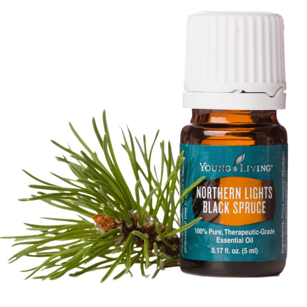 NEW Young Living 5 ml Northern Lights Black Spruce Essential Oil